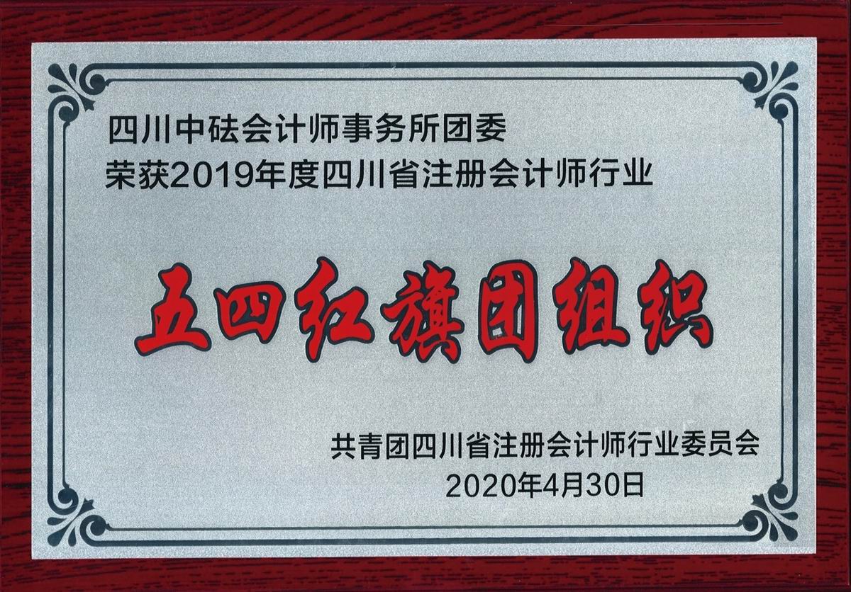 2019年度四川省注冊會計(jì)師行業(yè)“五四紅旗團(tuán)組織”