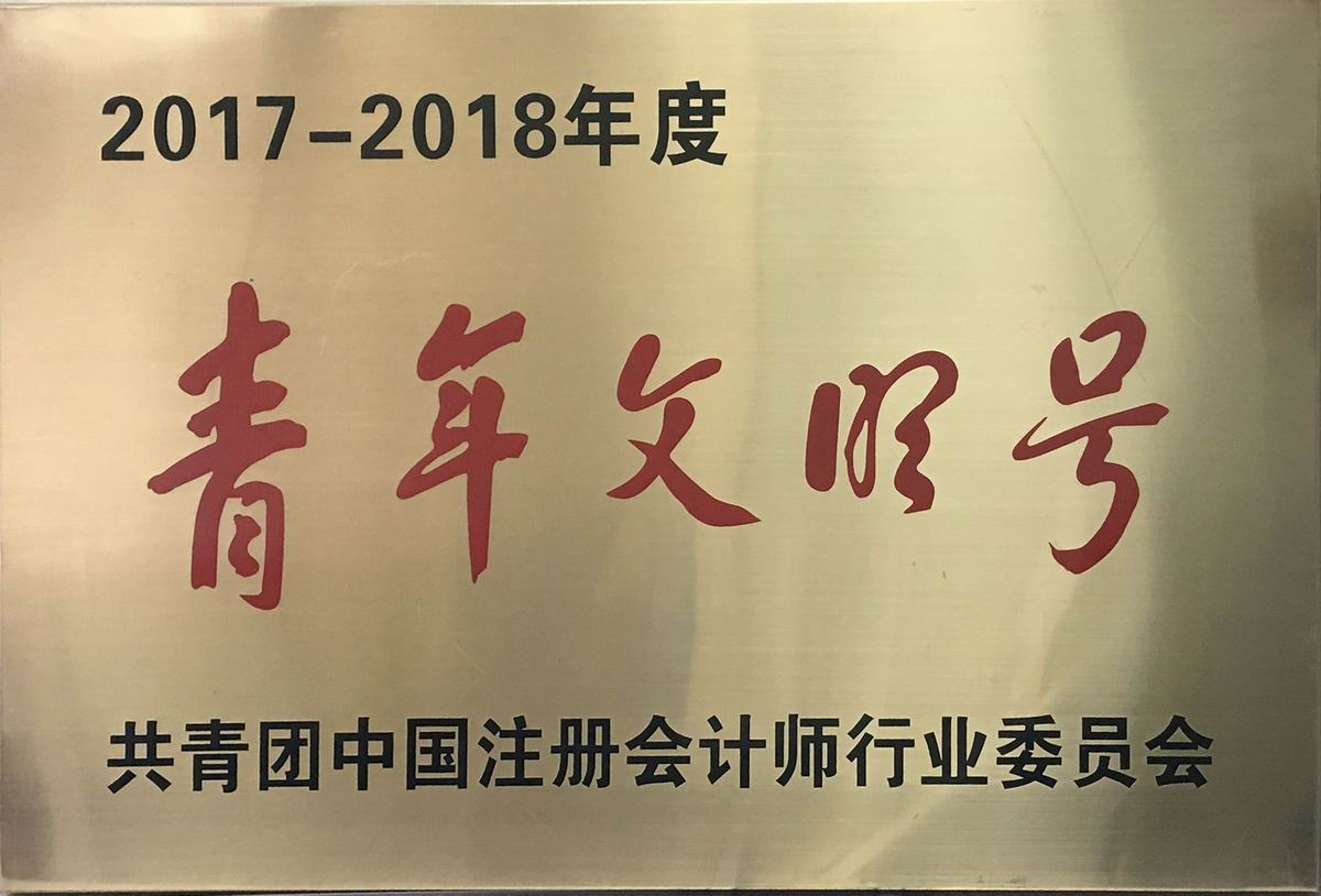 2017-2018年度全國注冊會計(jì)師行業(yè)“青年文明號”