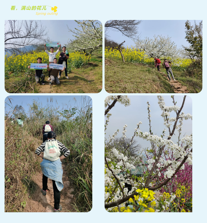 看，滿山的花兒.jpg